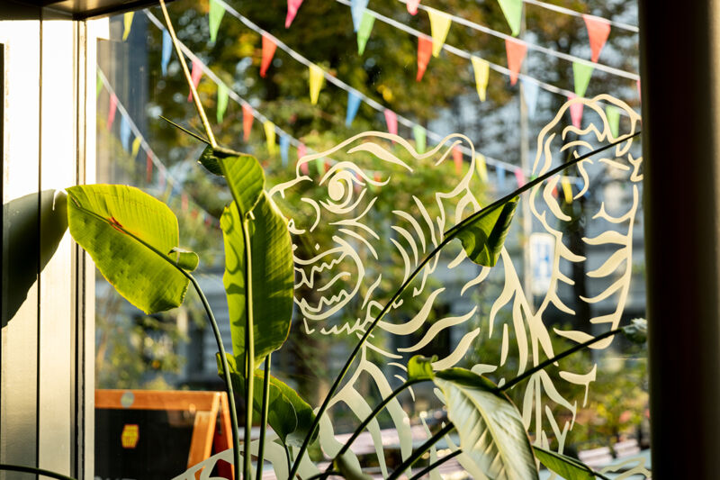 555thai tasting tiger